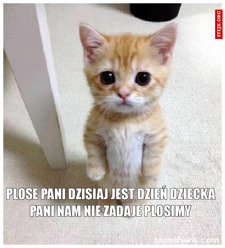 plose pani dzisiaj jest dzień dziecka pani nam nie zadaje plosimy