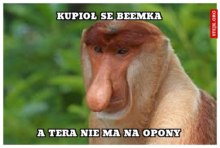 Kupioł se beemka