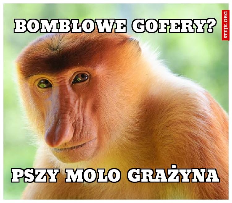 bomblowe gofery?