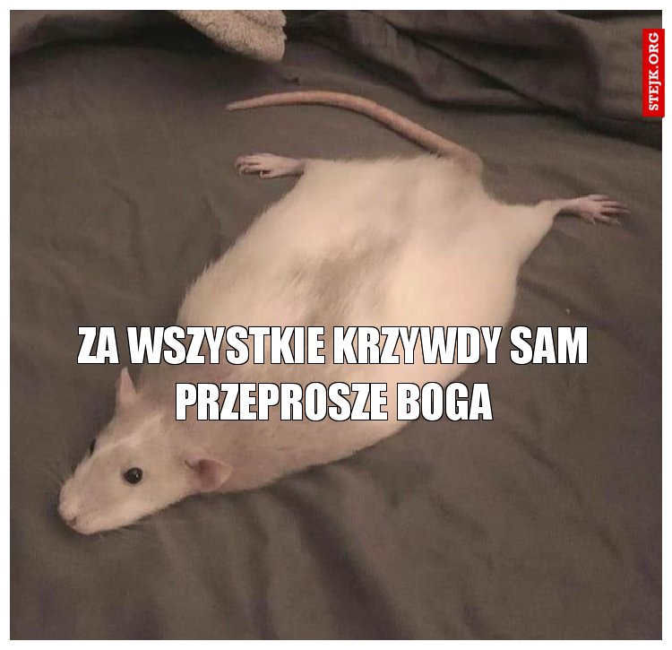 ZA WSZYSTKIE KRZYWDY SAM PRZEPROSZE BOGA