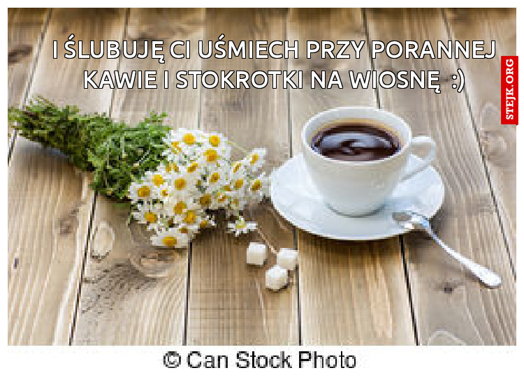 I ślubuję Ci uśmiech przy porannej kawie i stokrotki na wiosnę  :)
