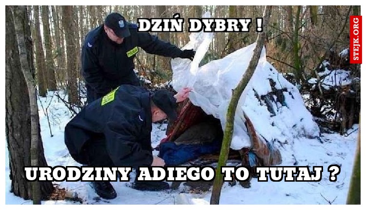 Dziń Dybry !
