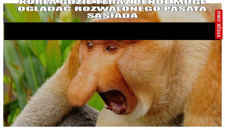 kurła gdzie teraz bende mugł oglądać rozwalonego pasata sąsiada