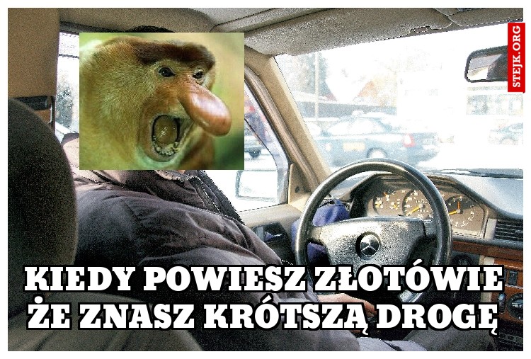 KIEDY POWIESZ ZŁOTÓWIE ŻE ZNASZ KRÓTSZĄ DROGĘ