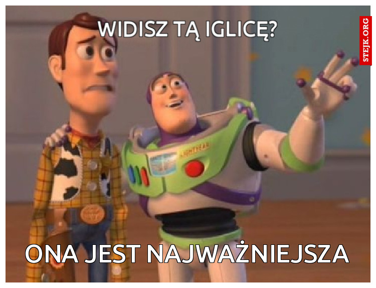 widisz tą iglicę?