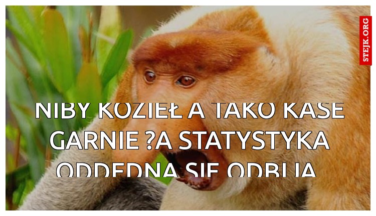Niby Kozieł a tako kase garnie ?A STATYSTYKA ODDEDNA SIE ODBIJA 