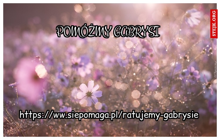 pomóżmy gabrysi