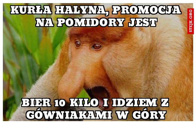 Bier 10 kilo i idziem z gówniakami w góry