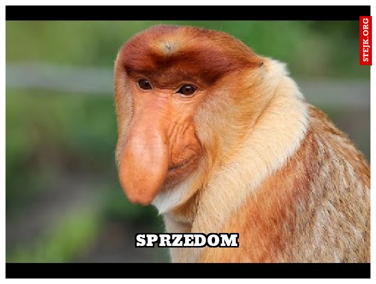 SPRZEDOM