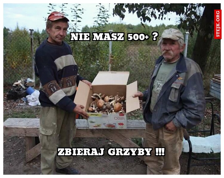 Nie masz 500  ?
