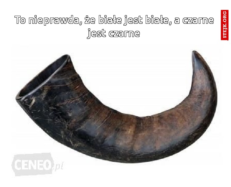 To nieprawda, że białe jest białe, a czarne jest czarne