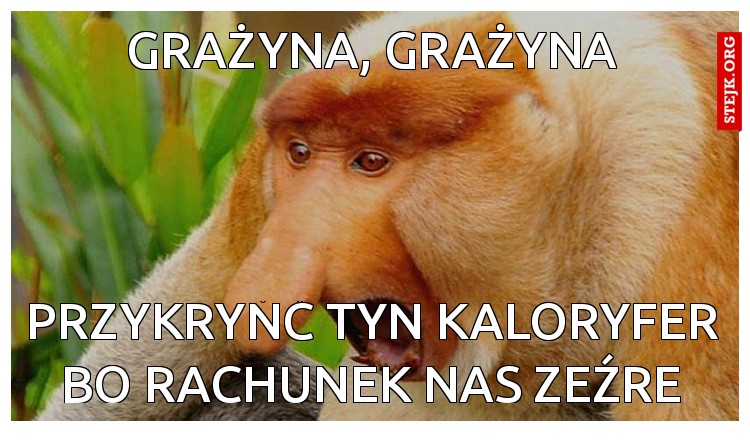 Grażyna, grażyna