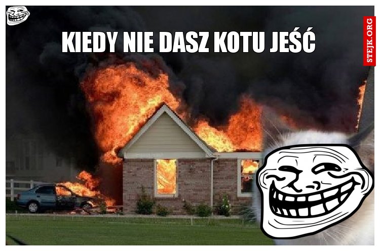 kiedy nie dasz kotu jeść