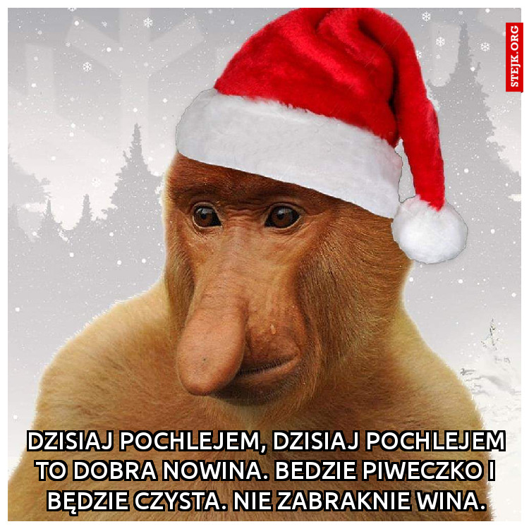 Dzisiaj pochlejem, dzisiaj pochlejem to dobra nowina. Bedzie piweczko i będzie czysta. Nie zabraknie wina.