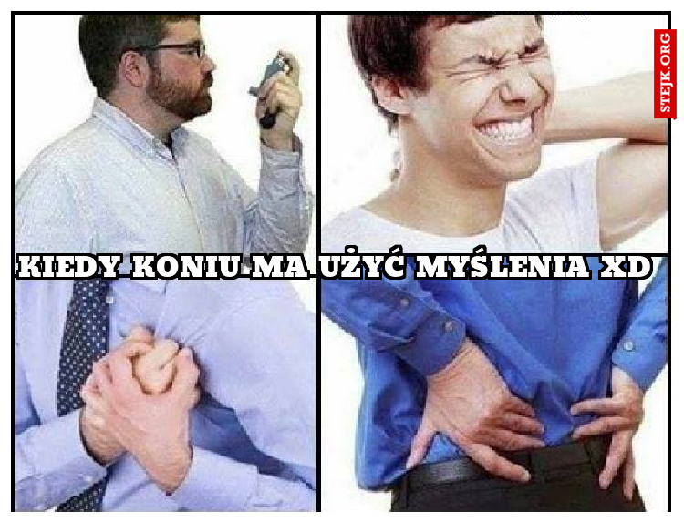 Kiedy Koniu ma użyć myślenia xD