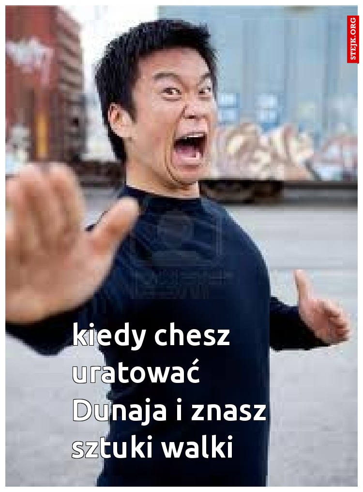 kiedy chesz uratować Dunaja i znasz sztuki walki