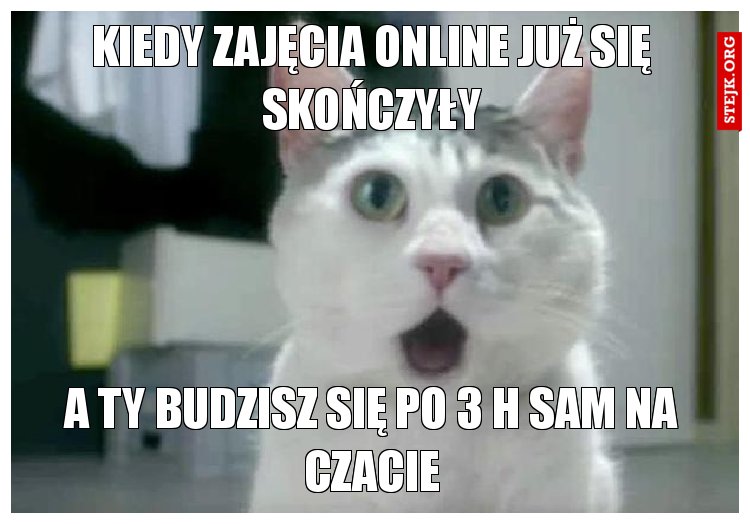 kiedy zajęcia online już się skończyły