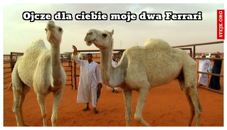 Ojcze dla ciebie moje dwa Ferrari