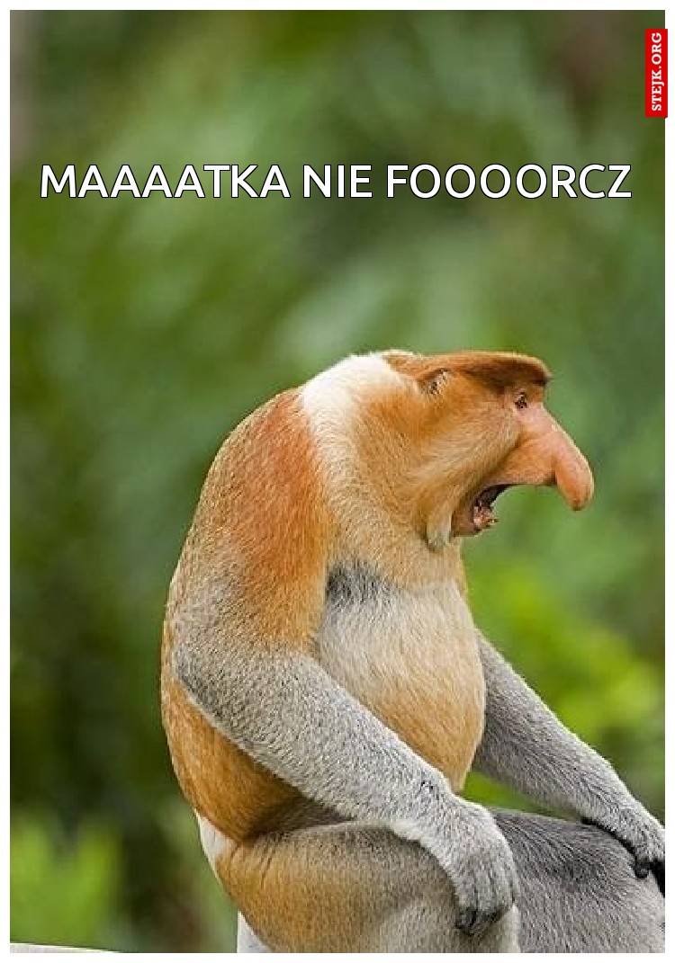Maaaatka nie foooorcz