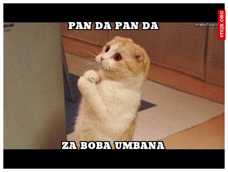 Pan da Pan da