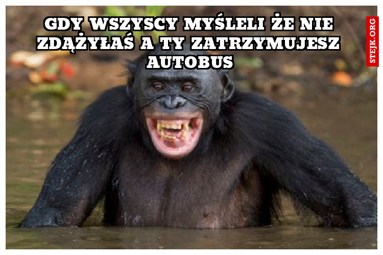 gdy wszyscy myśleli że nie zdążyłaś a ty zatrzymujesz autobus