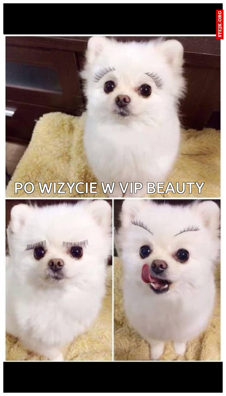 PO WIZYCIE W VIP BEAUTY 