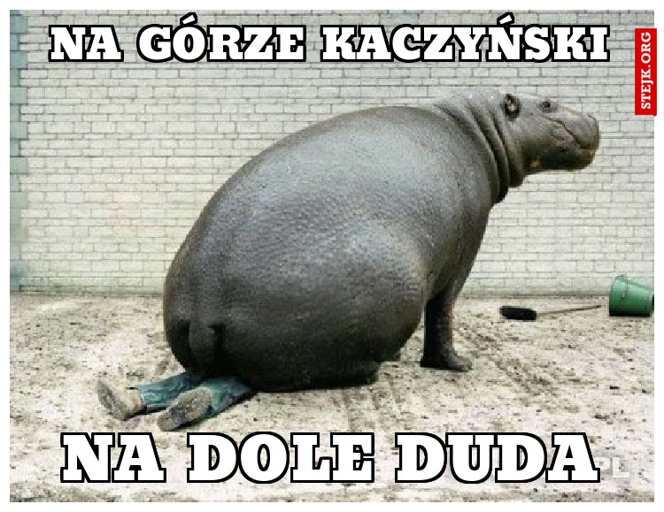 na górze kaczyński