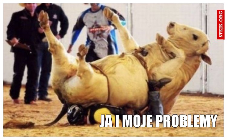 Ja i moje problemy