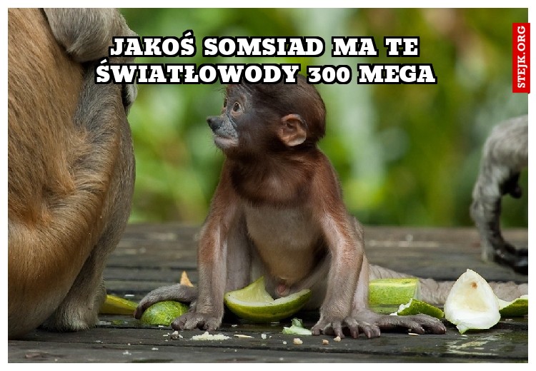 Jakoś somsiad ma te światłowody 300 mega