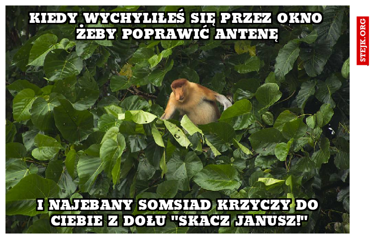 kiedy wychyliłeś się przez okno żeby poprawić antenę