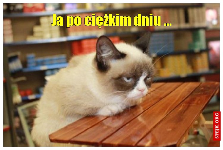Ja po pracy w szkole 