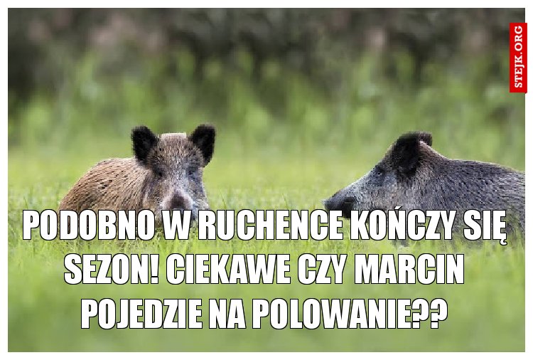 Podobno w Ruchence kończy się sezon! Ciekawe czy Marcin pojedzie na polowanie??