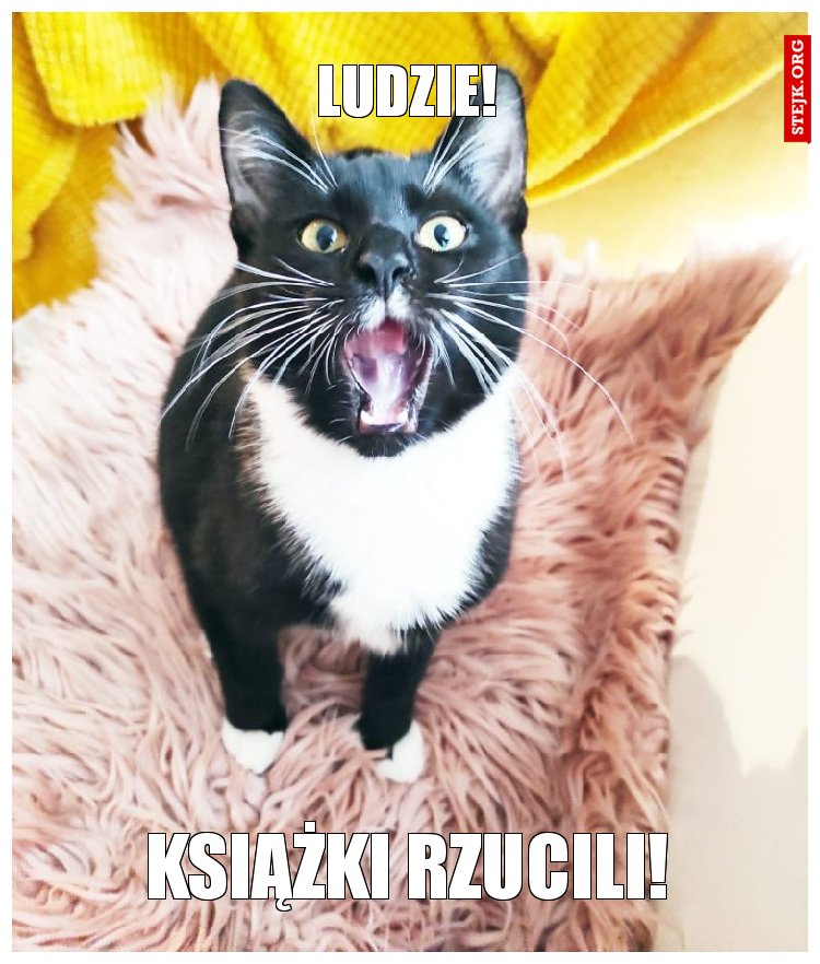 ludzie!