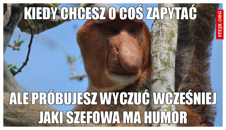 Kiedy chcesz o coś zapytać