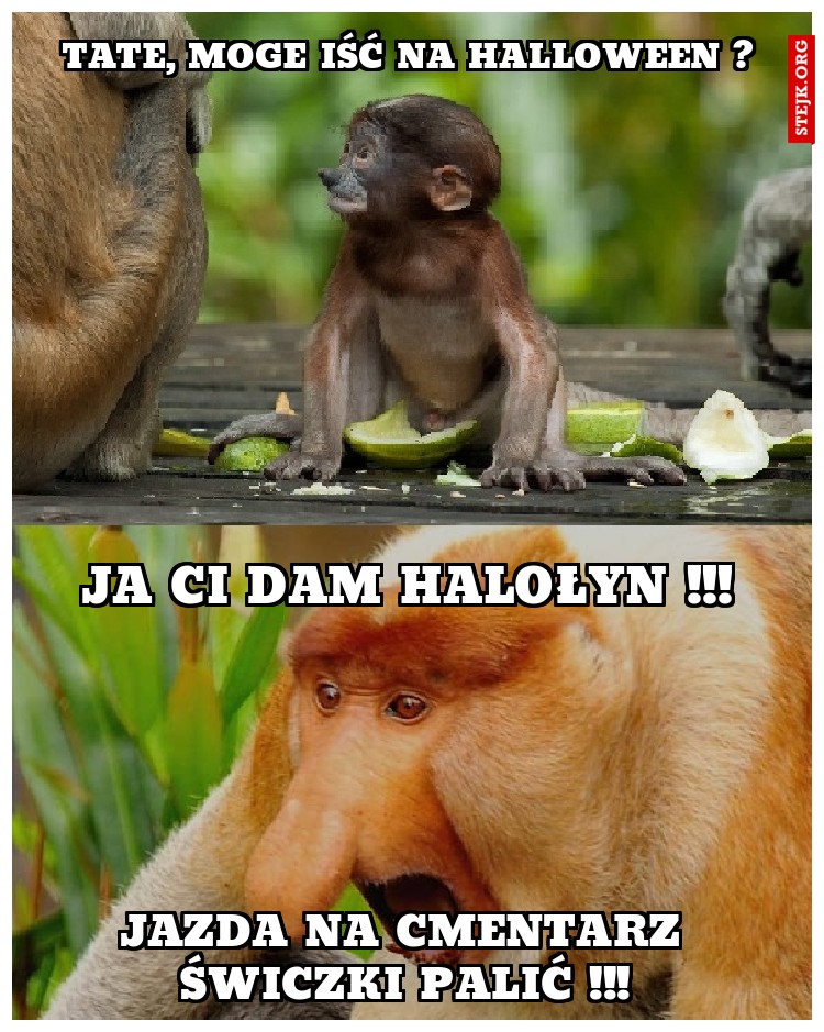 tate, moge iść na halloween ?