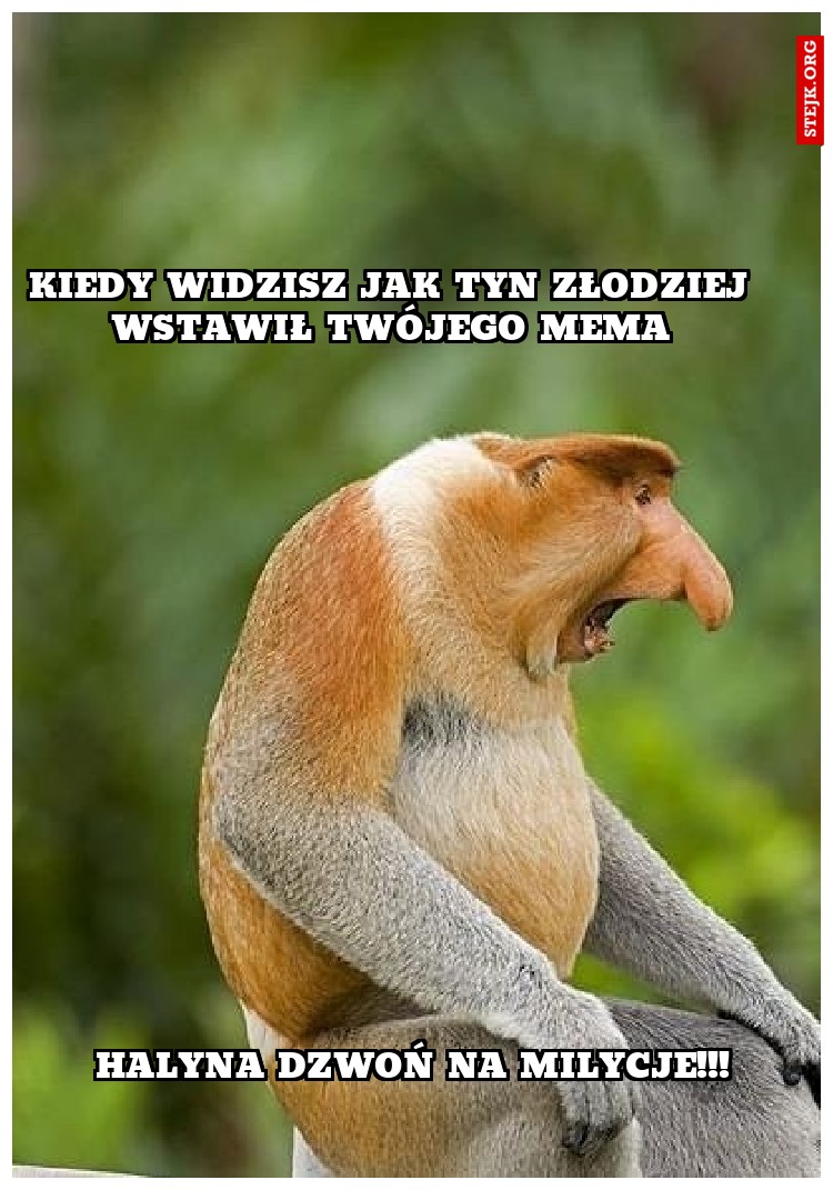 Kiedy widzisz jak tyn złodziej wstawił twójego mema