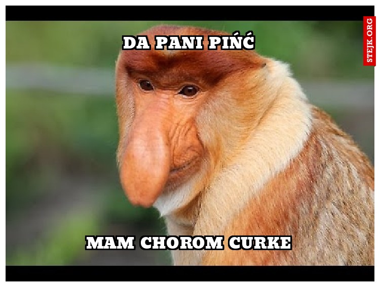 DA PANI PIŃĆ