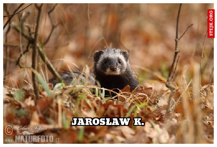 Jarosław K.