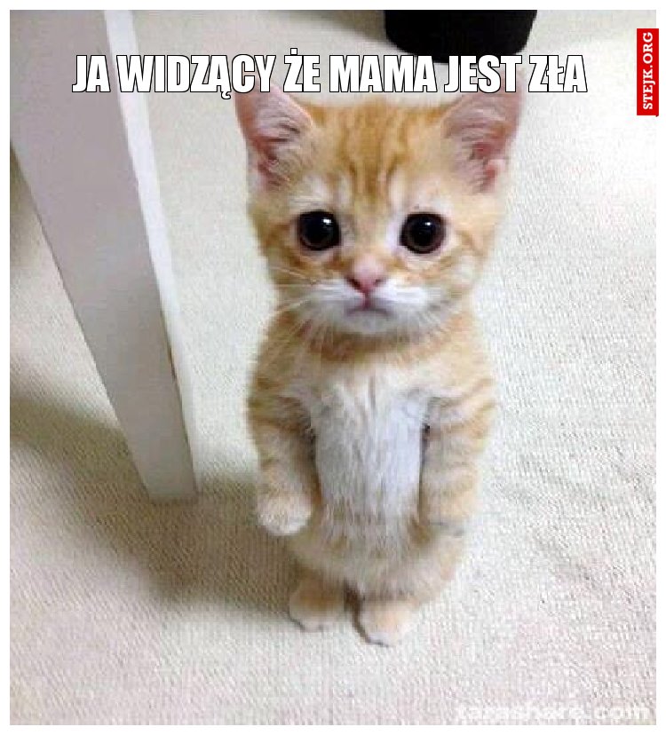 ja widzący że mama jest zła