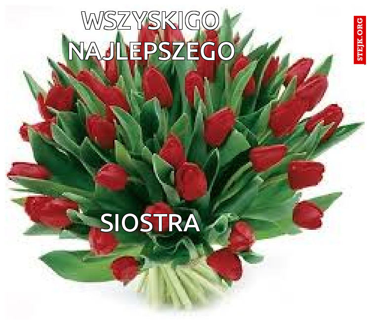 wszyskigo NAJLEPSZEGO