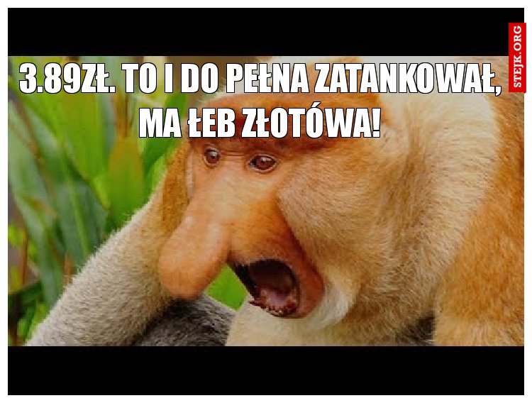 3.89zł. To i do pełna zatankował, ma łeb złotówa!