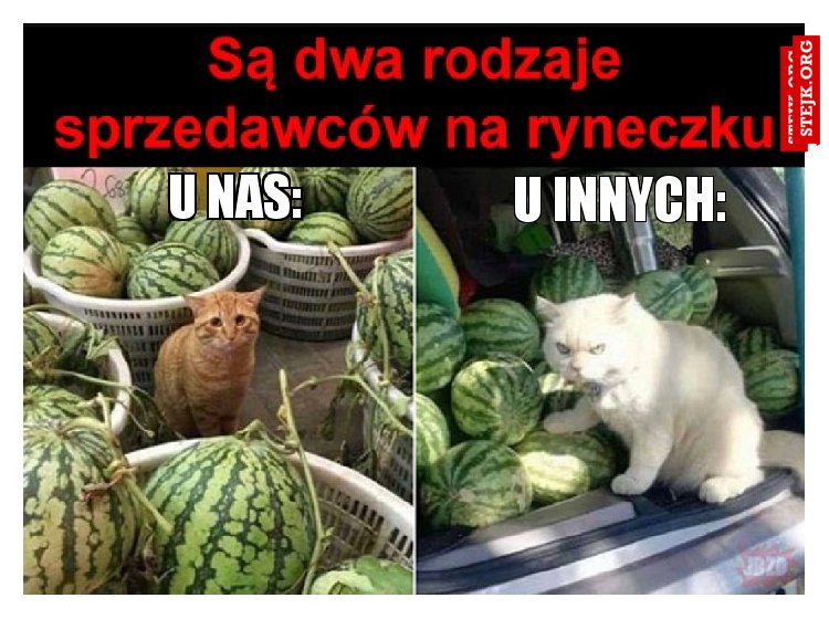 U INNYCH: