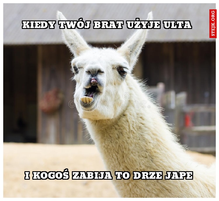 kiedy twój brat użyje ulta 