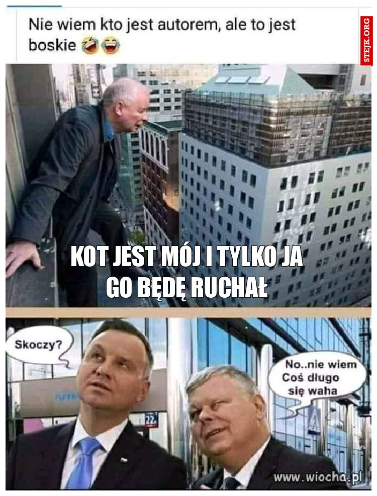 Kot jest mój i tylko ja go będę ruchał