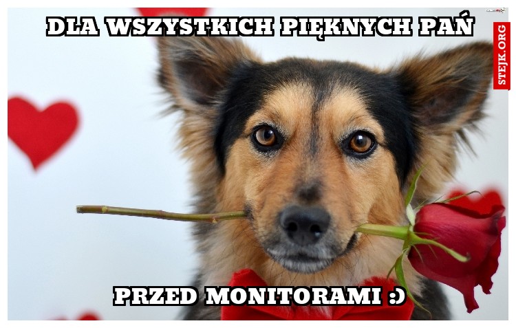 Dla wszystkich pięknych Pań