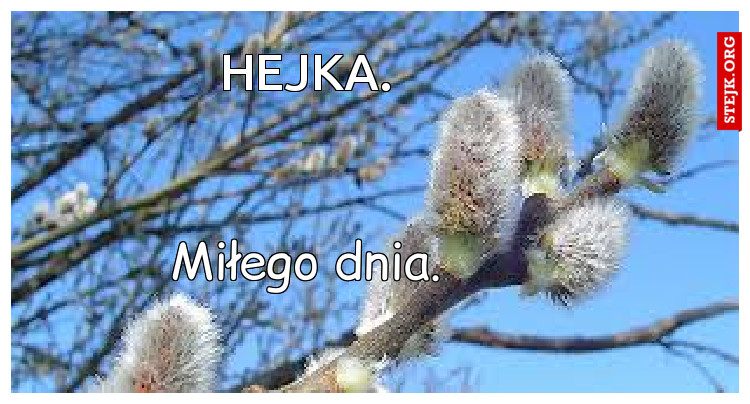 HEJKA.