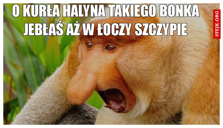 O kurła Halyna takiego bonka jebłaś aż w łoczy szczypie