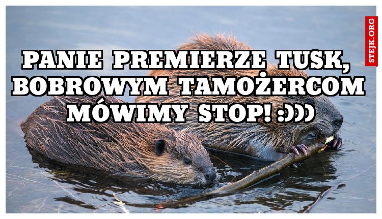 Panie  Premierze  Tusk,  Bobrowym  tamożercom  mówimy  stop! :)))