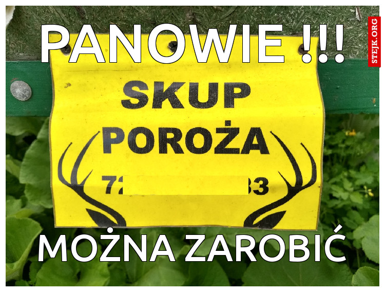 PANOWIE !!!