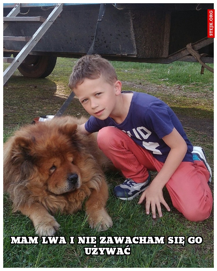 Mam lwa i nie zawaham się go użyć